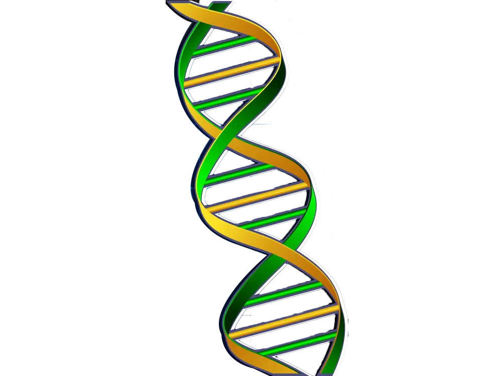 DNA Strand Graphic in Science Context
