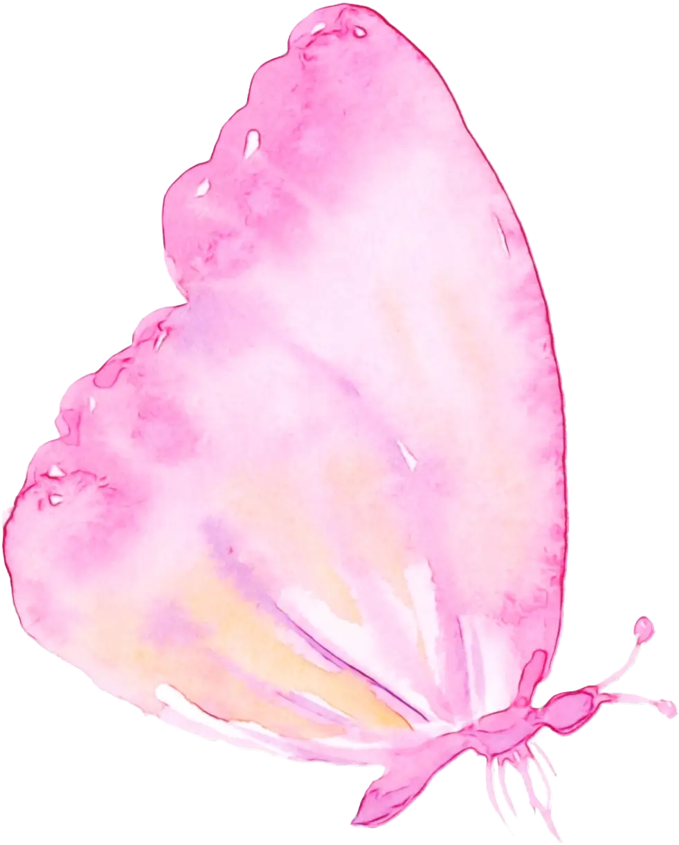 Delicate Pink Butterfly