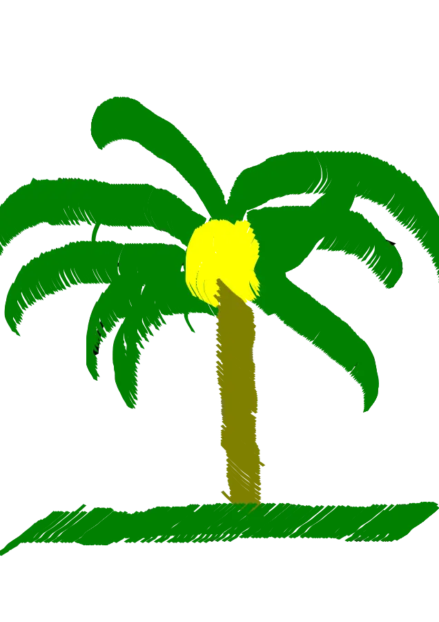 Coconut Palm Tree Drawing