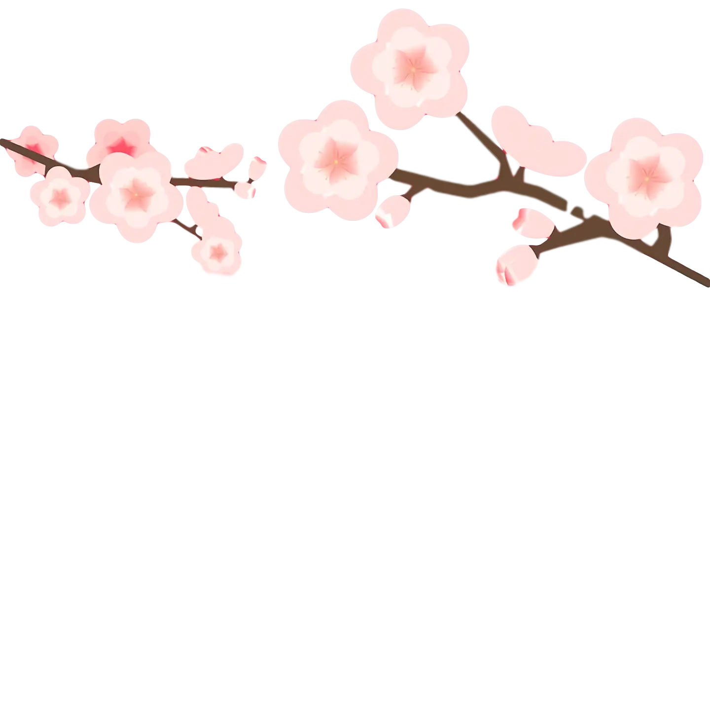 Pink Cherry Blossom Branches