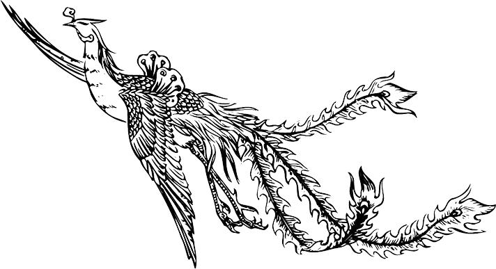 Mythical Phoenix Illustration