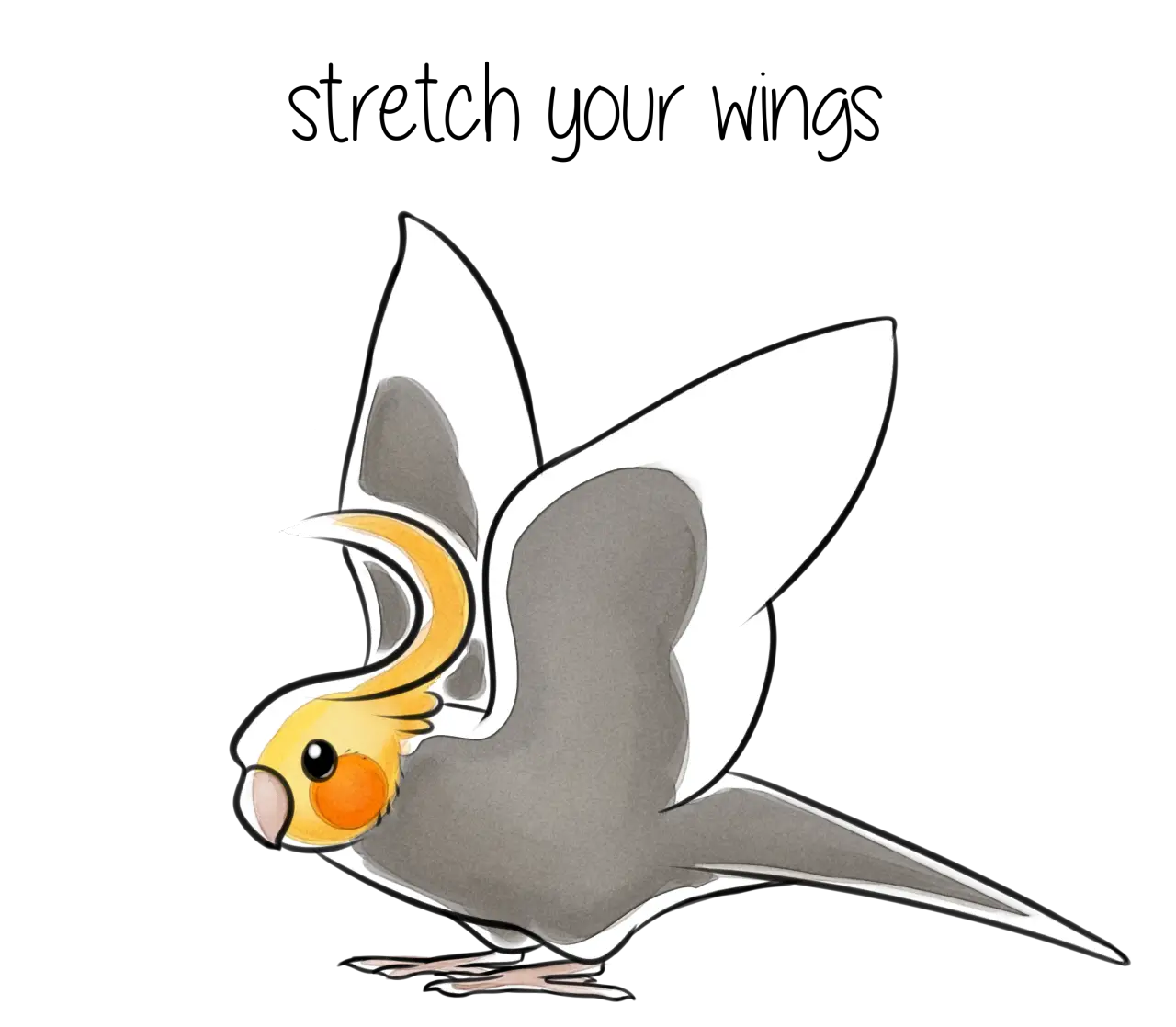Cockatiel Stretching Wings