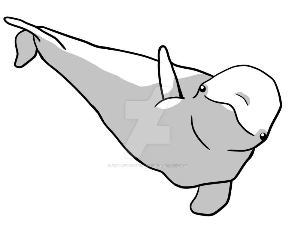 Beluga Whale Illustration