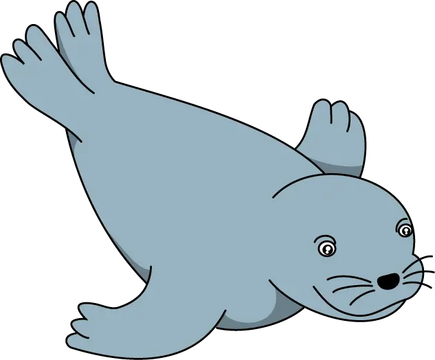 Cute Cartoon Seal
