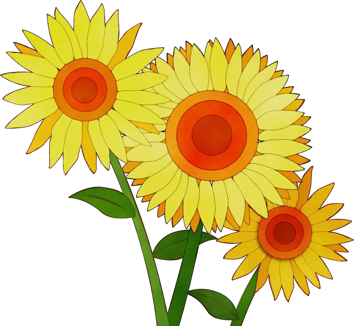 Bright Yellow Sunflowers Illustration