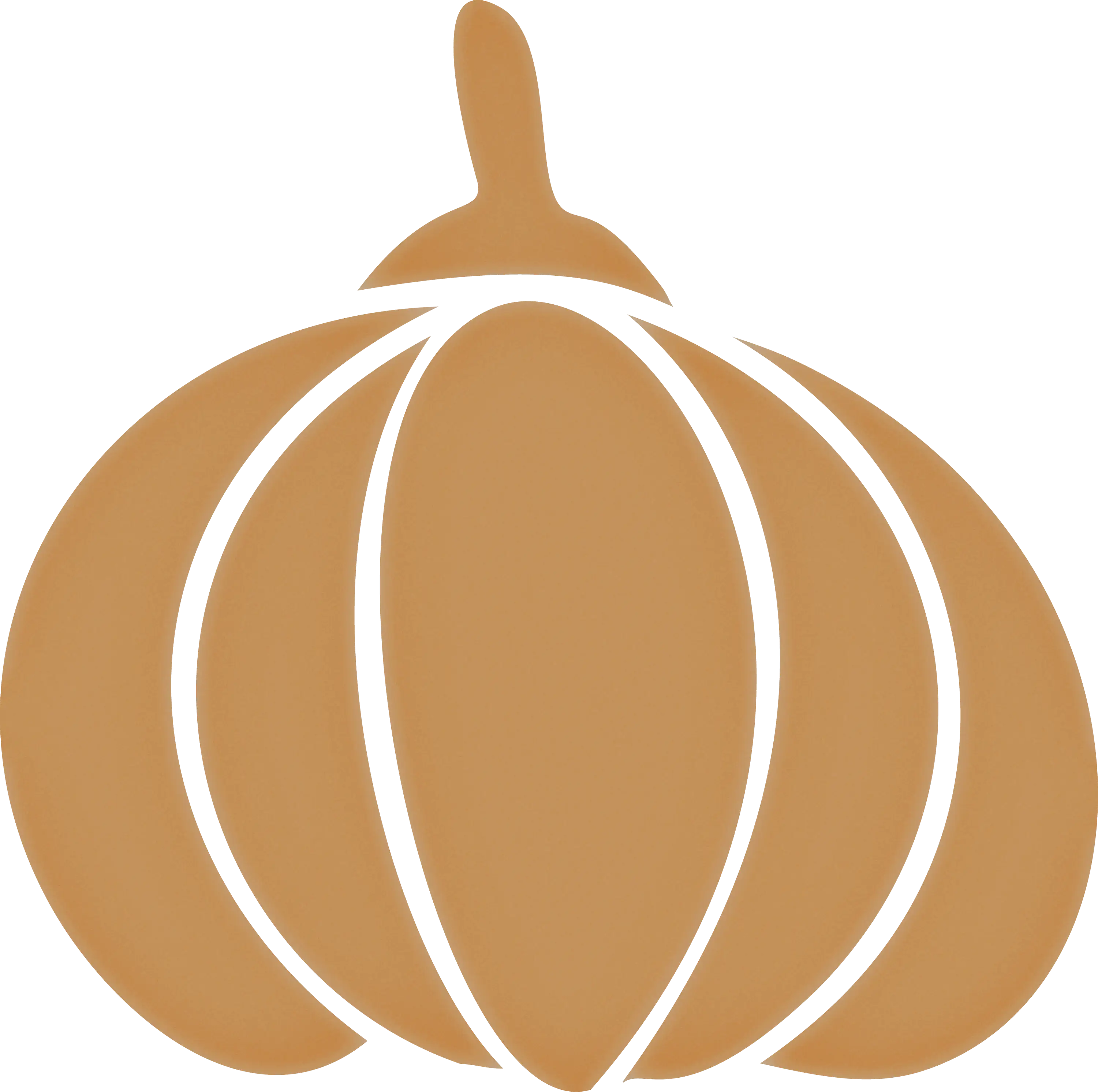 Brown Pumpkin Icon Design