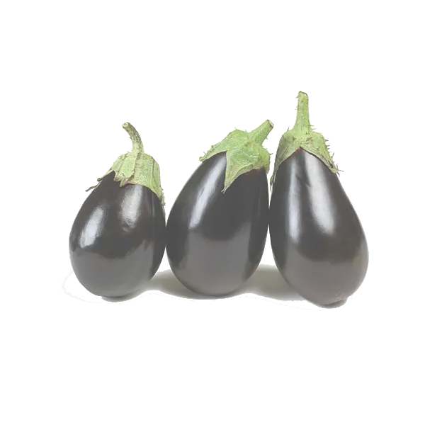 Three Fresh Eggplants