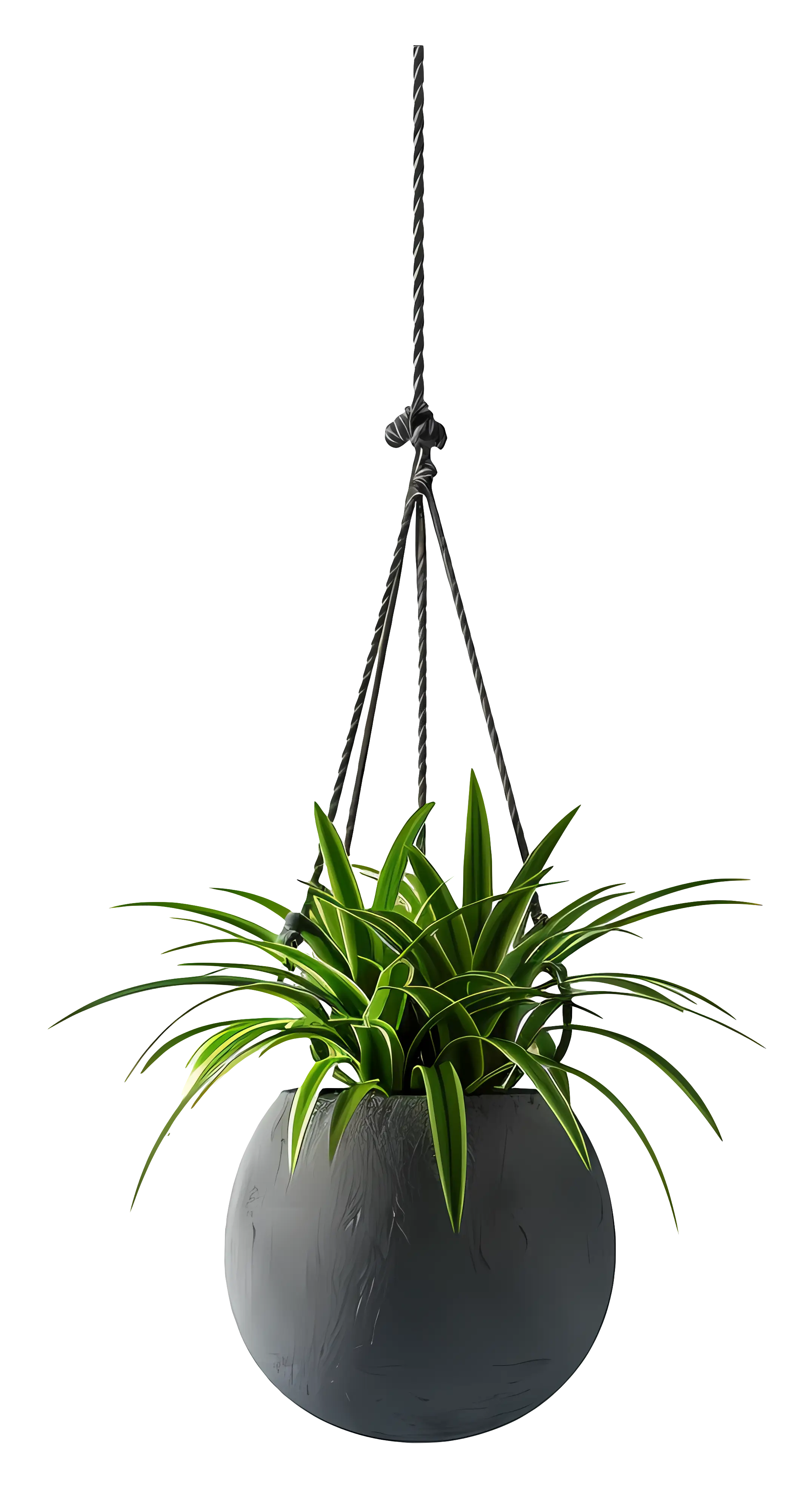 Hanging Plant in Decorative Pot