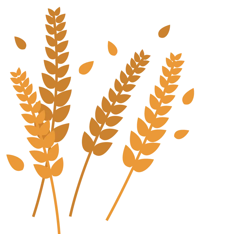 Golden Wheat Stalks Symbolizing Harvest Season