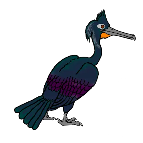 Colorful Cartoon Drawing of a Cormorant