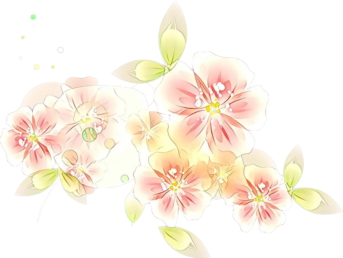 Soft Pink Cherry Blossom Illustration