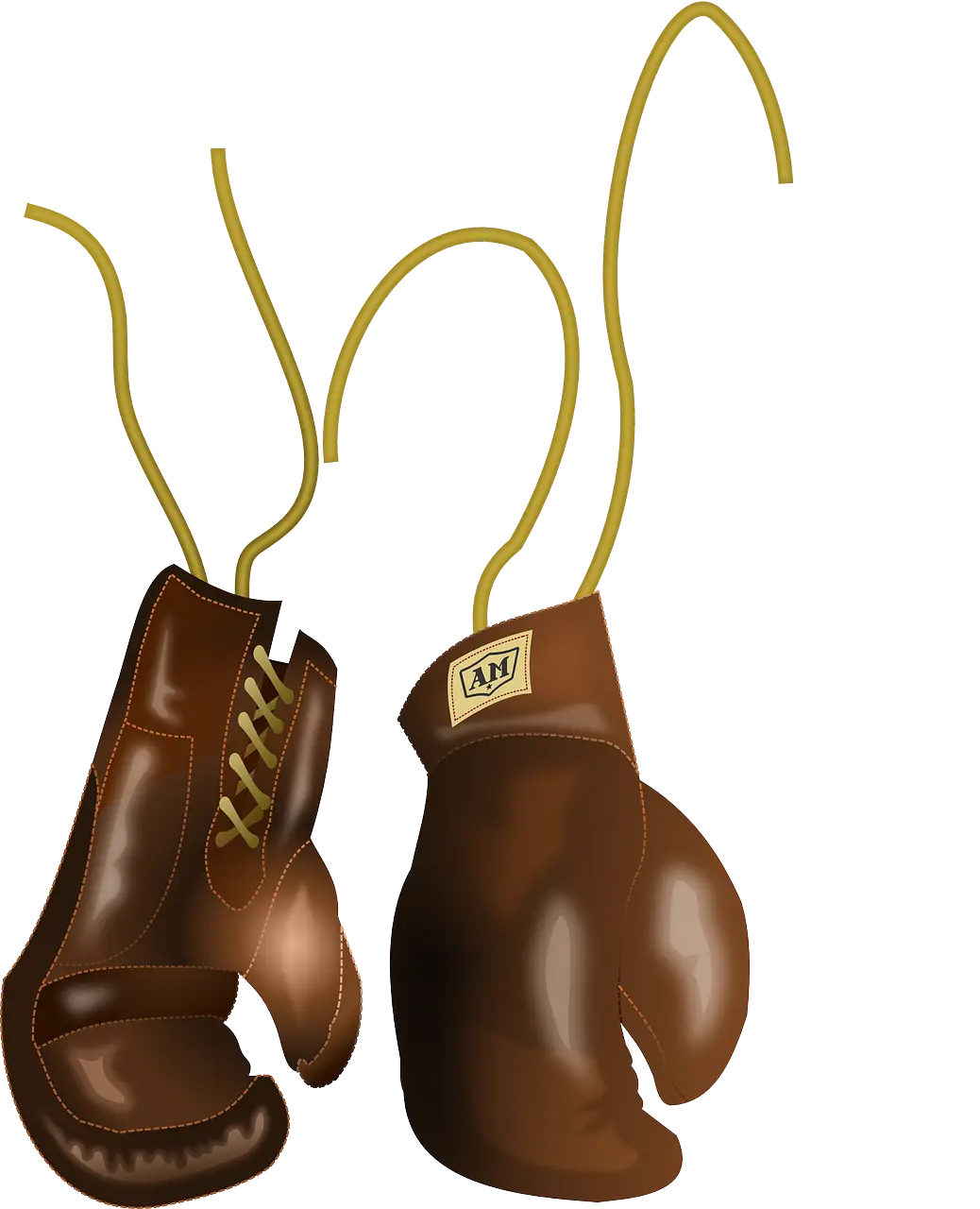 Retro-Style Boxing Gloves