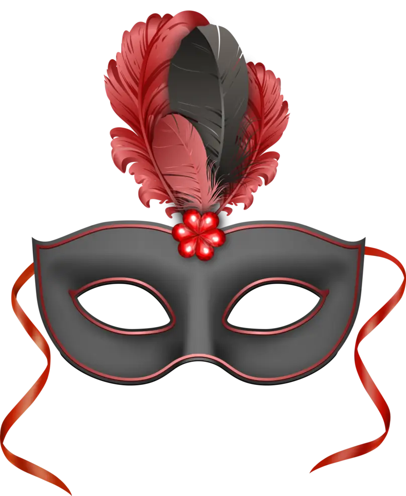 Stylish Masquerade Mask with Feathers