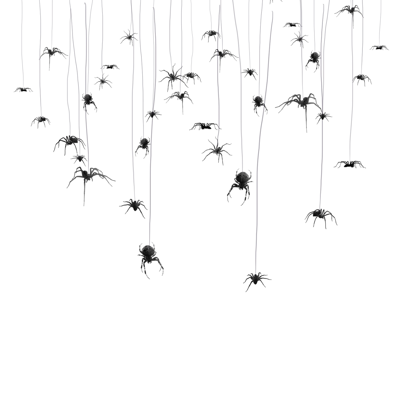 Creepy Hanging Spiders for Halloween