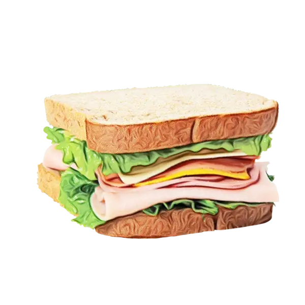 Cartoon Style Sandwich Illustration