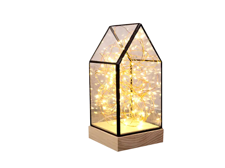 Fairy lights in a glass house