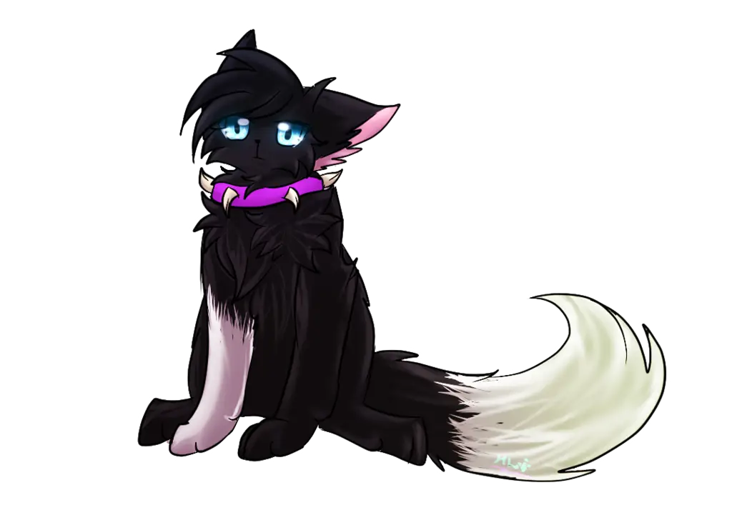 Black Cat Cartoon Illustration