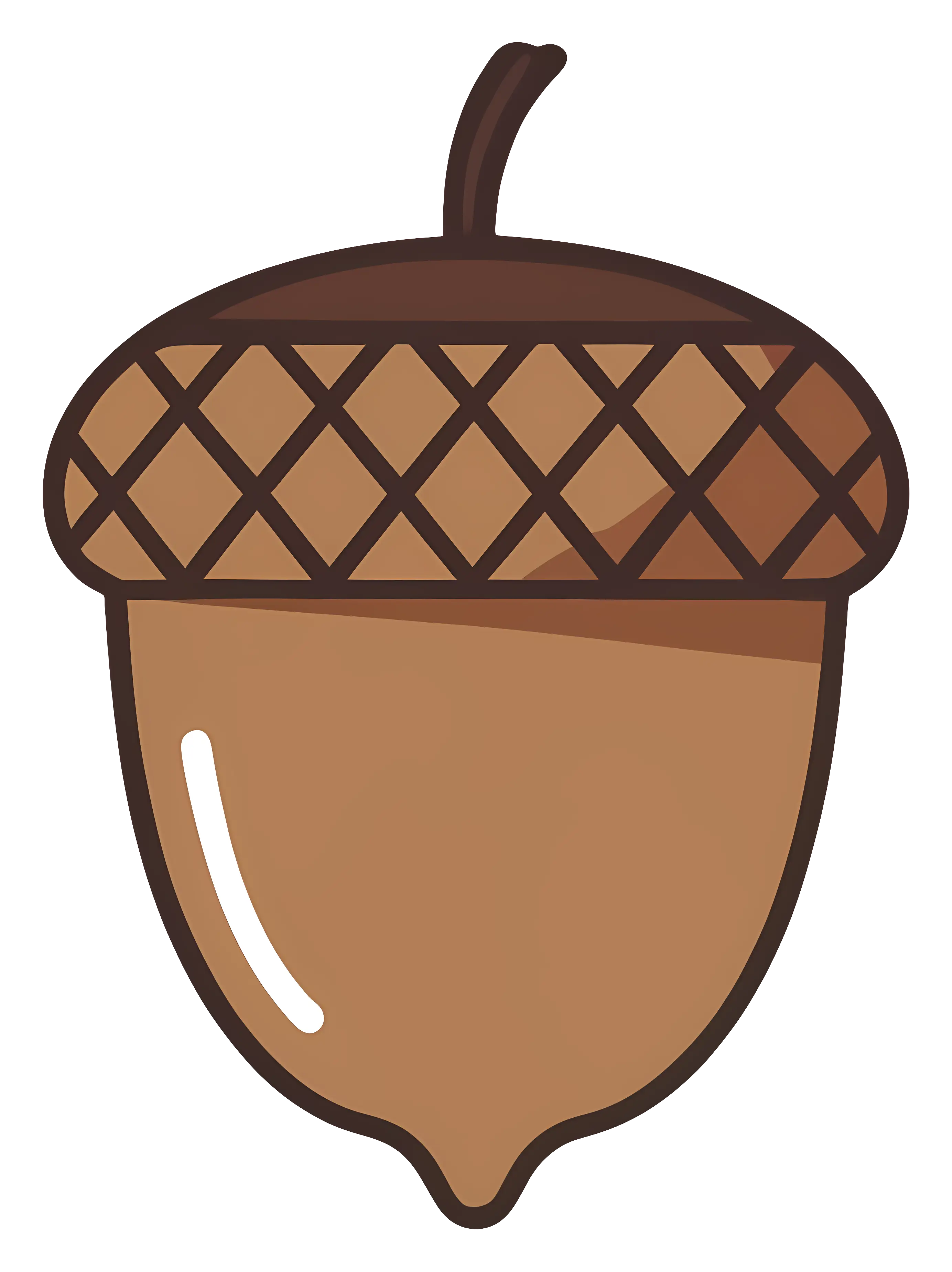 Brown Acorn with Checkered Cap