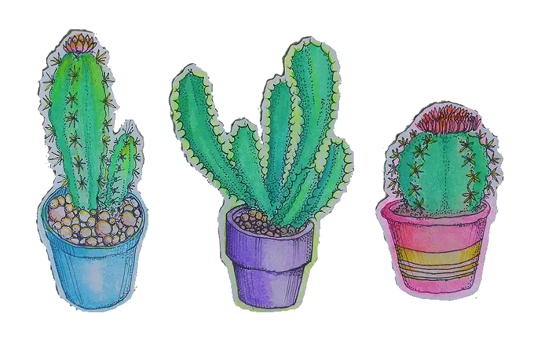Colorful Potted Cactus Illustration