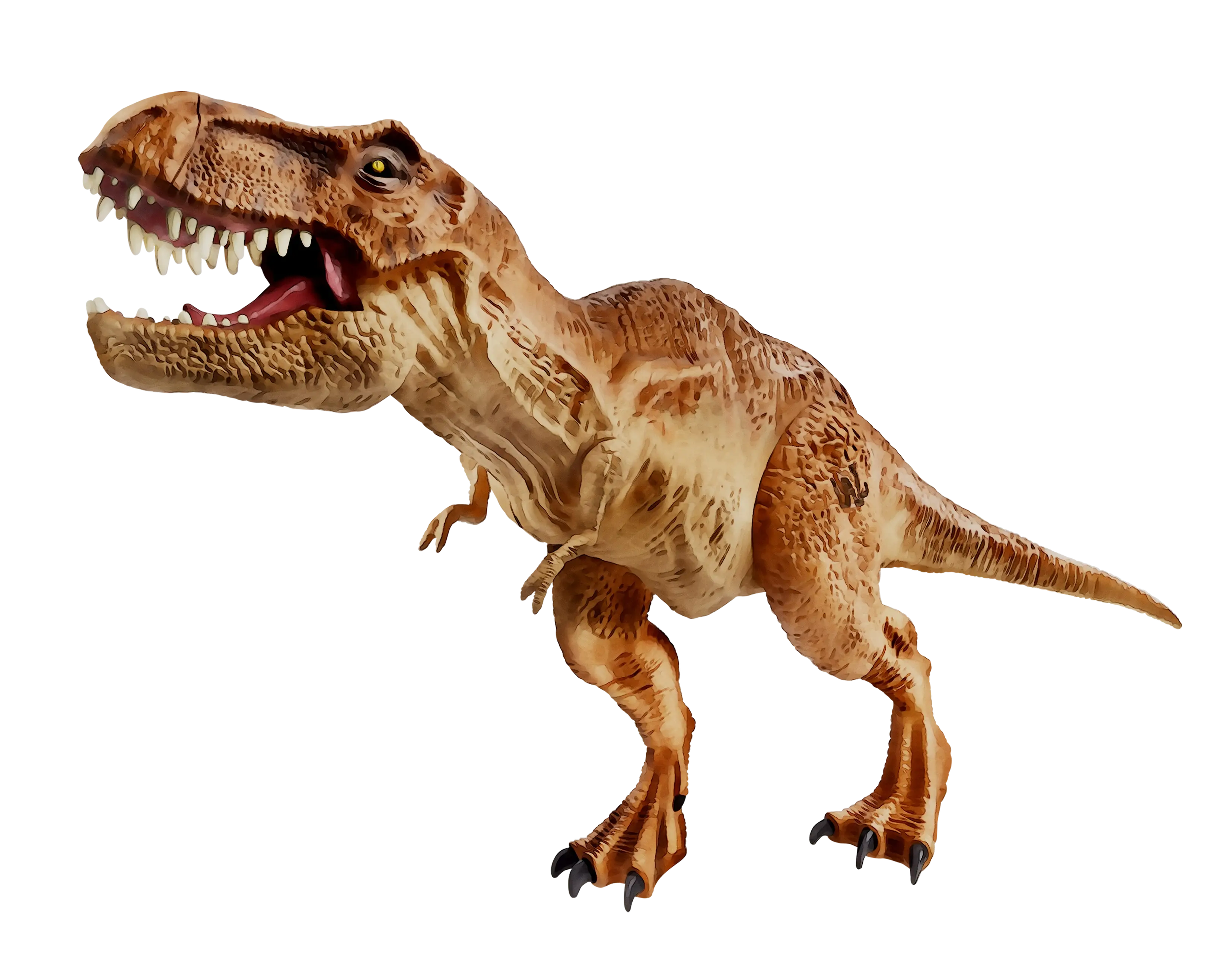 Realistic Tyrannosaurus Rex Model