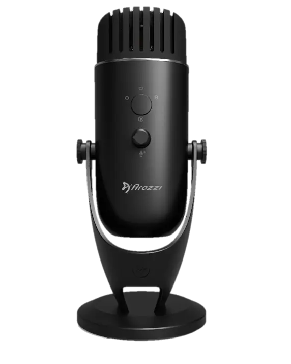 Black Professional Microphone