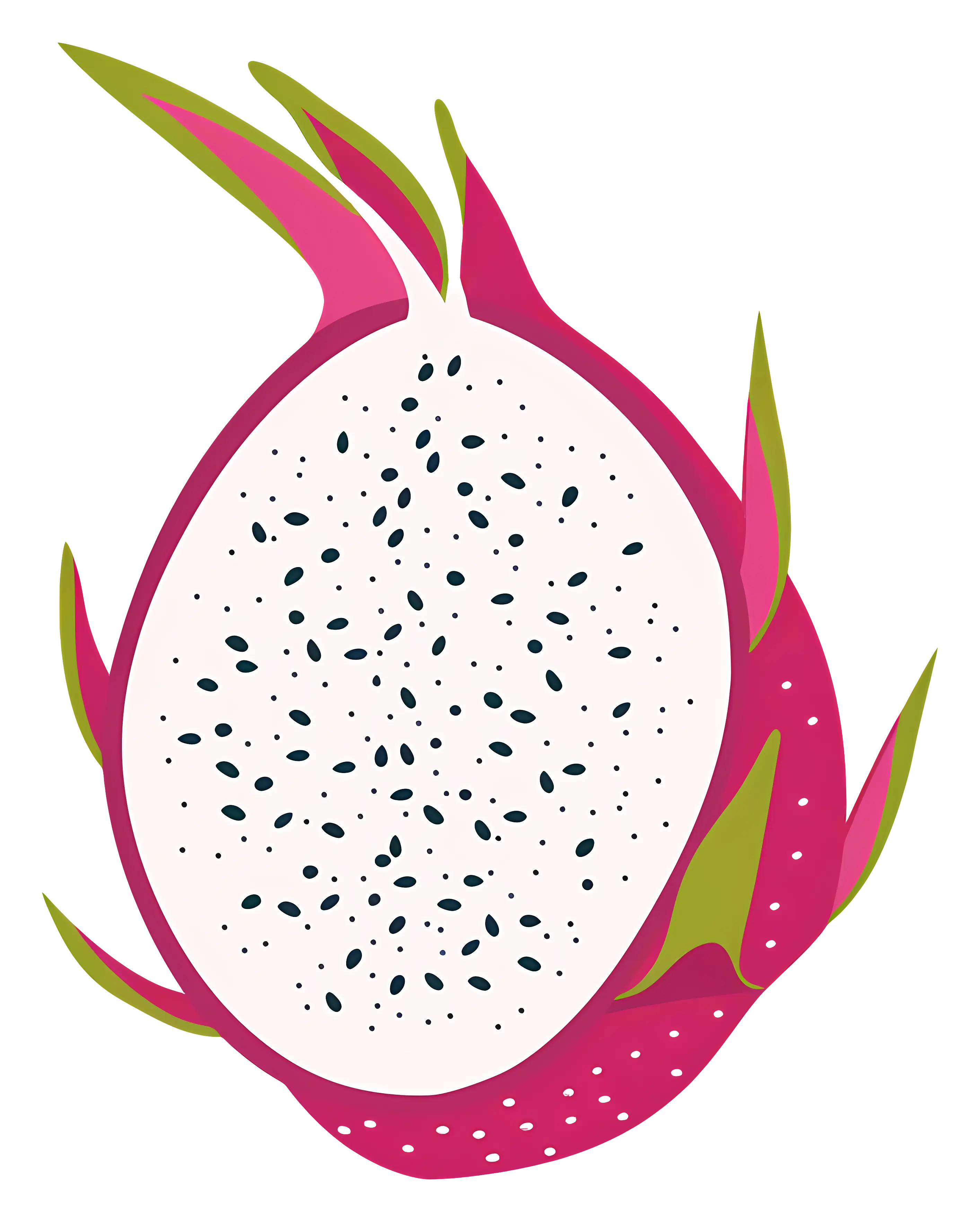 Illustration of Dragon Fruit