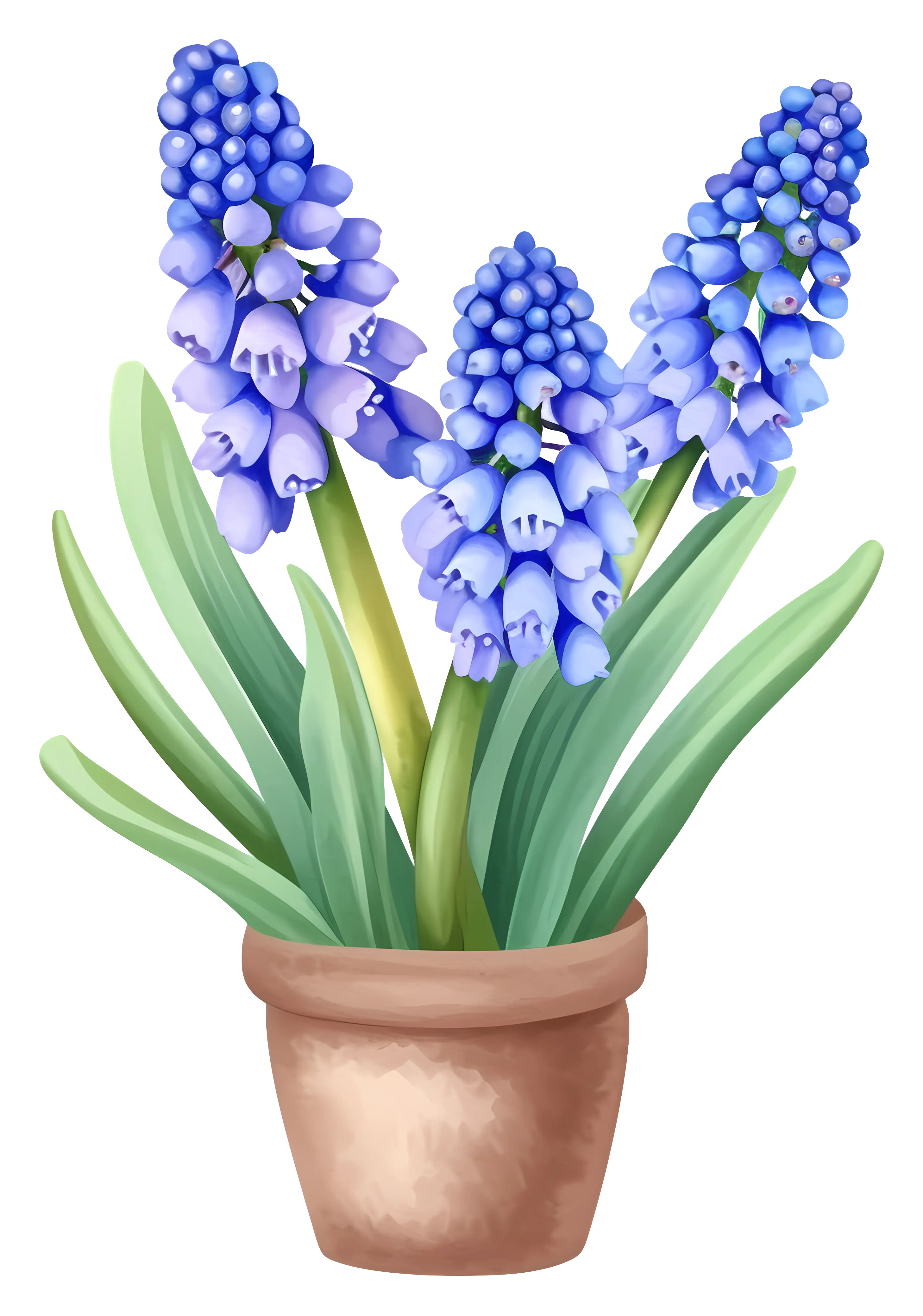 Beautiful Potted Plant with Purple Flowers