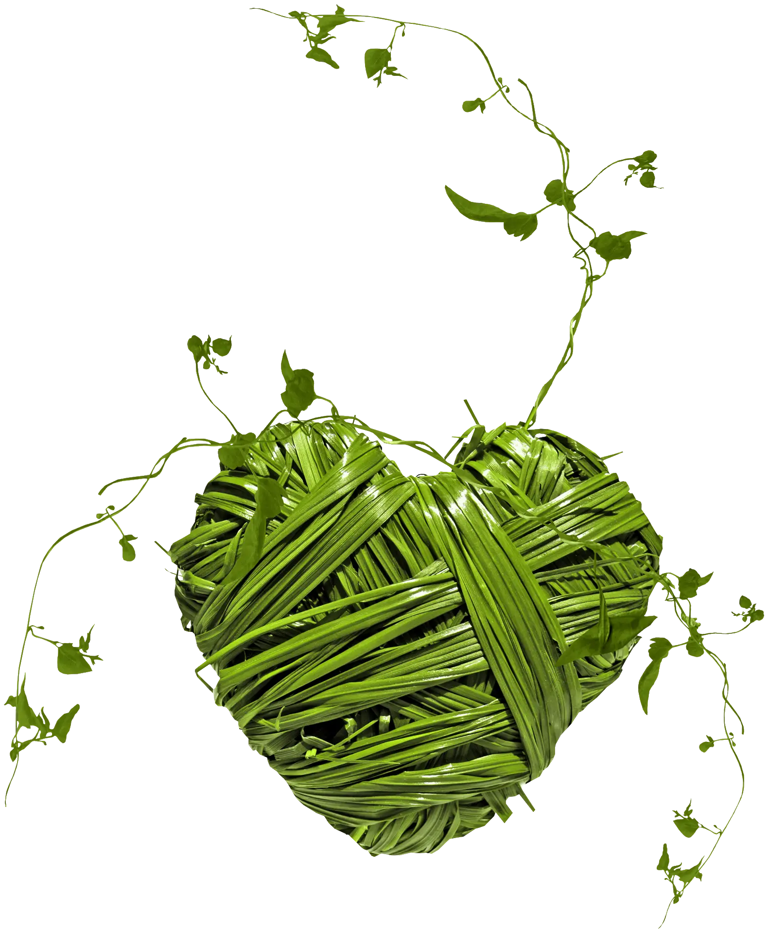 Heart-Shaped Green Grass Design
