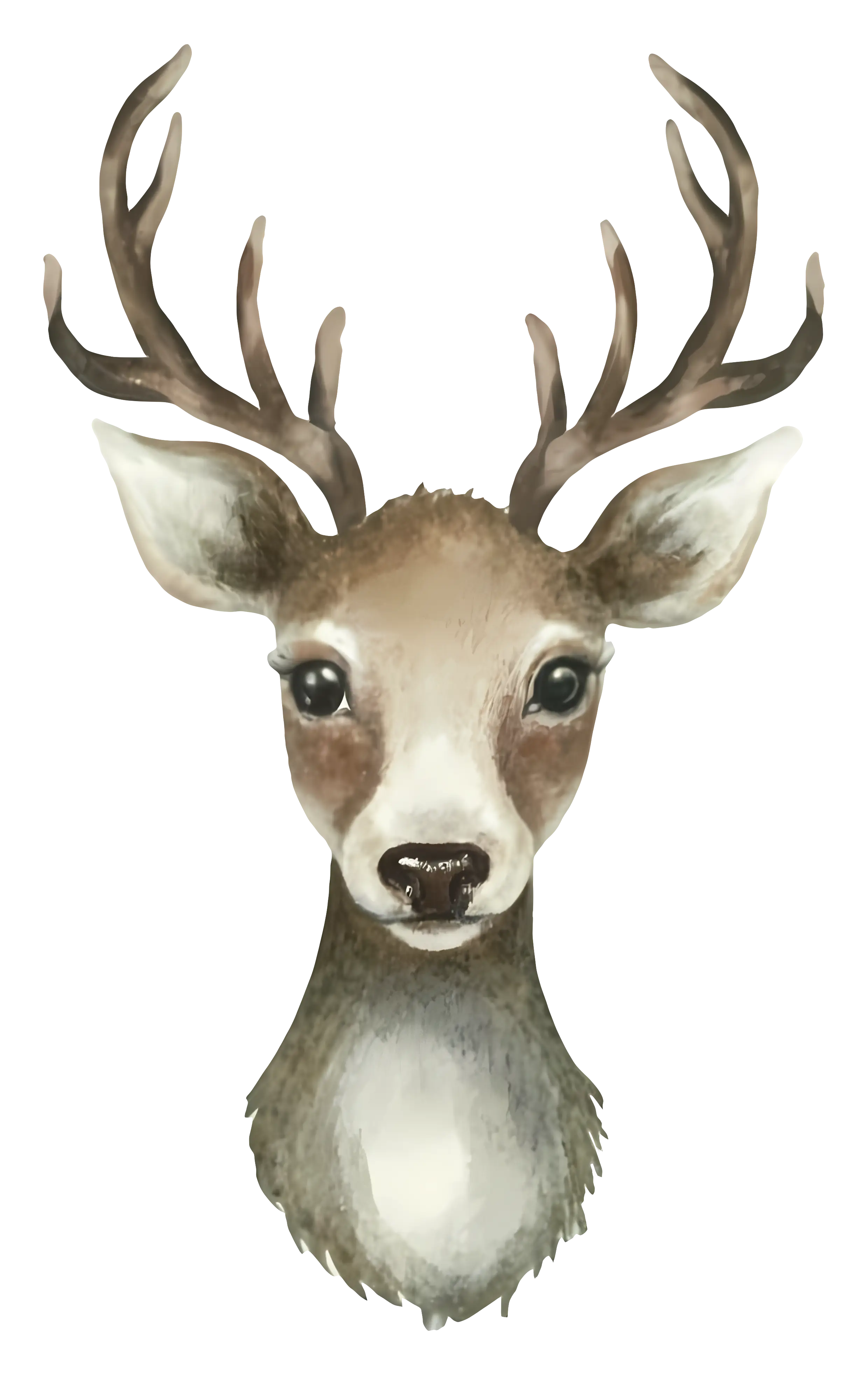 Realistic Deer Illustration with Antlers