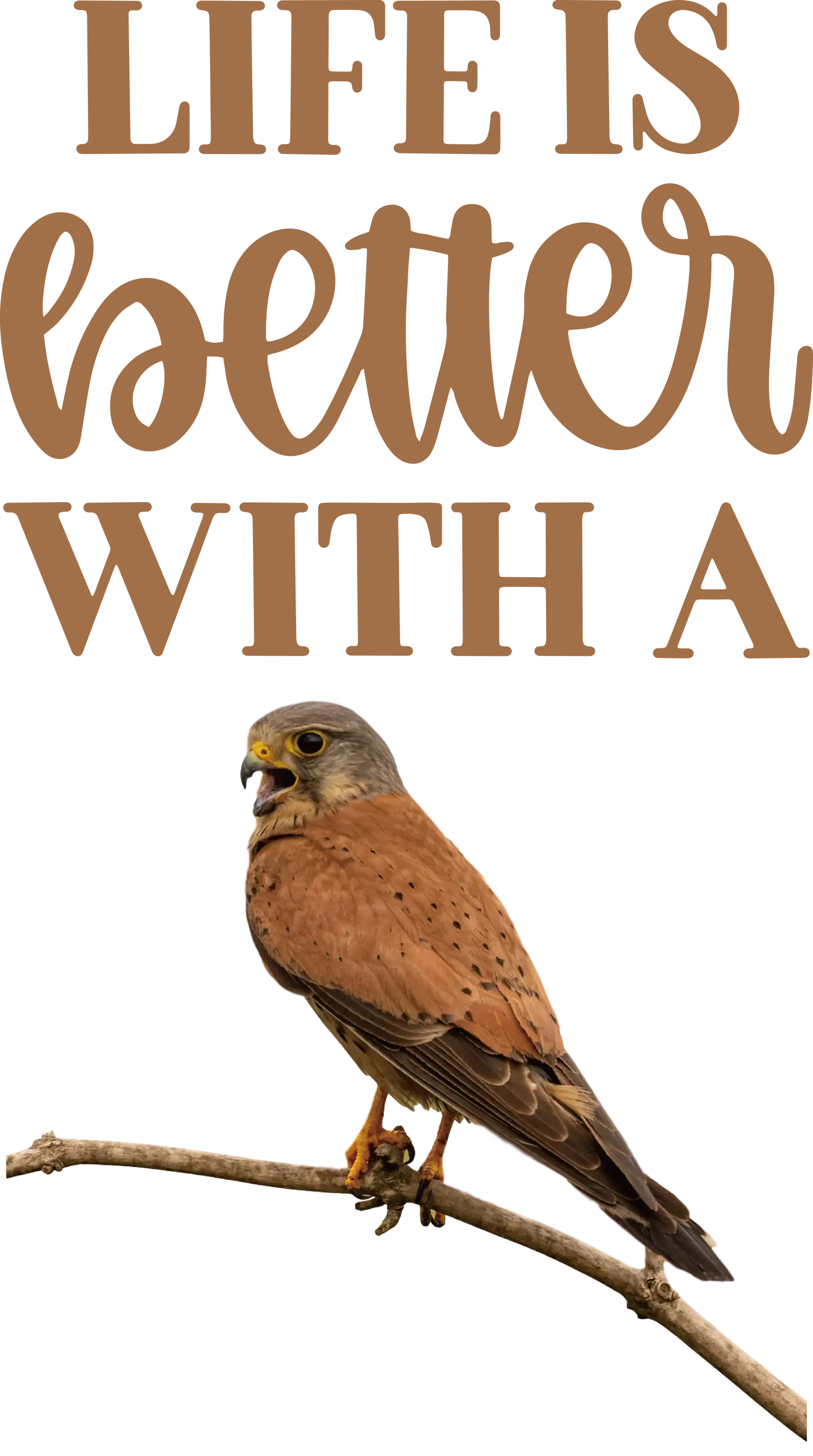 Life is Better with a Bird