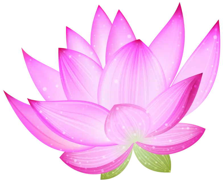 Pink Lotus Flower Illustration