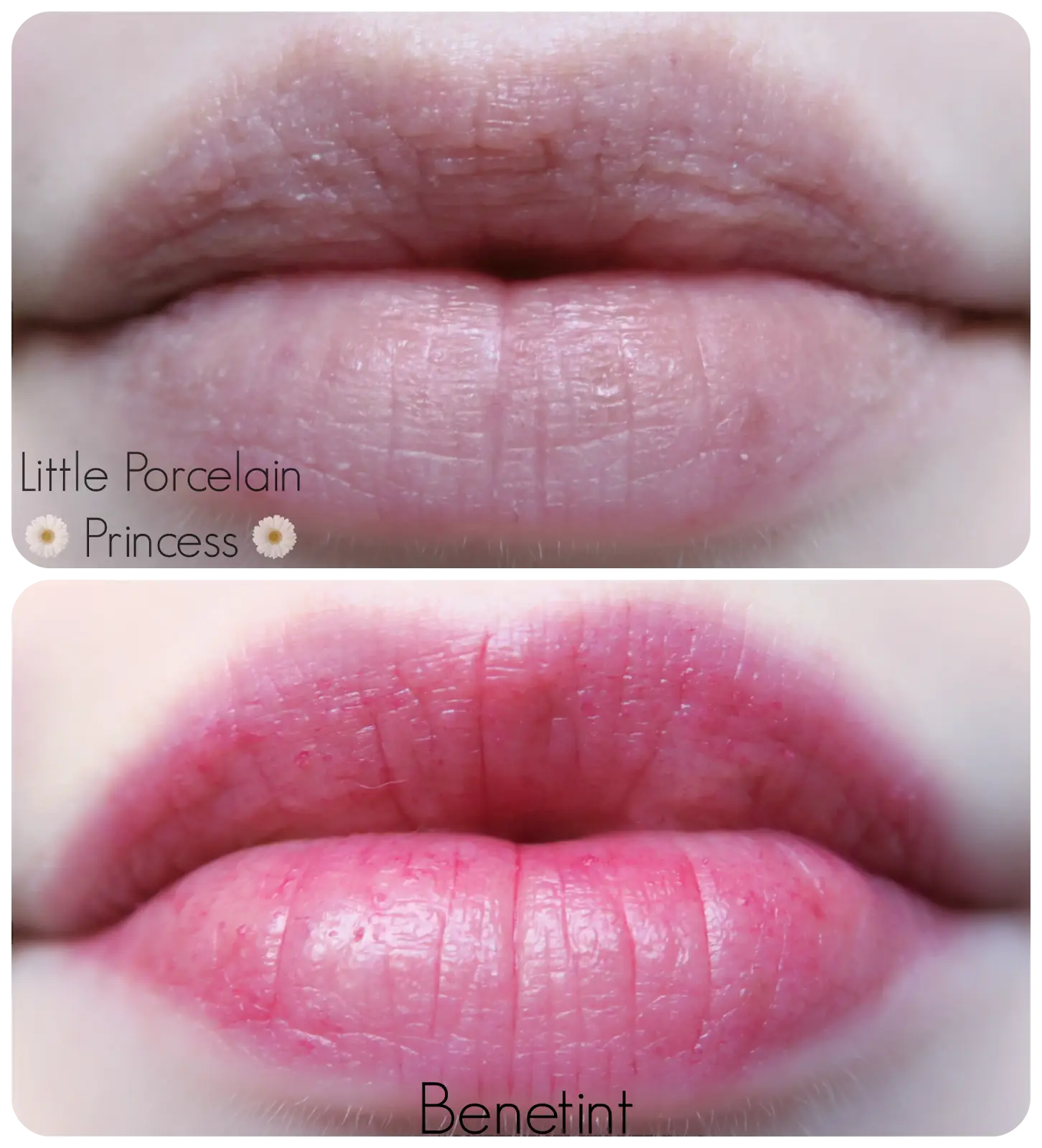 Lips Before and After Lip Tint Application