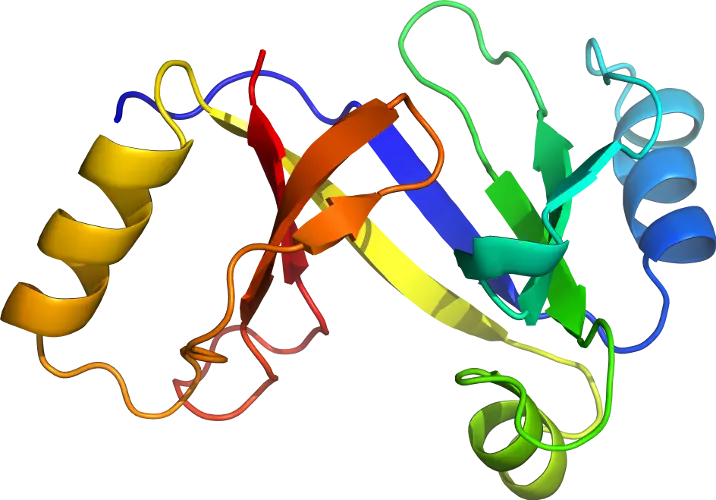 Colorful Protein Structure Model Representation