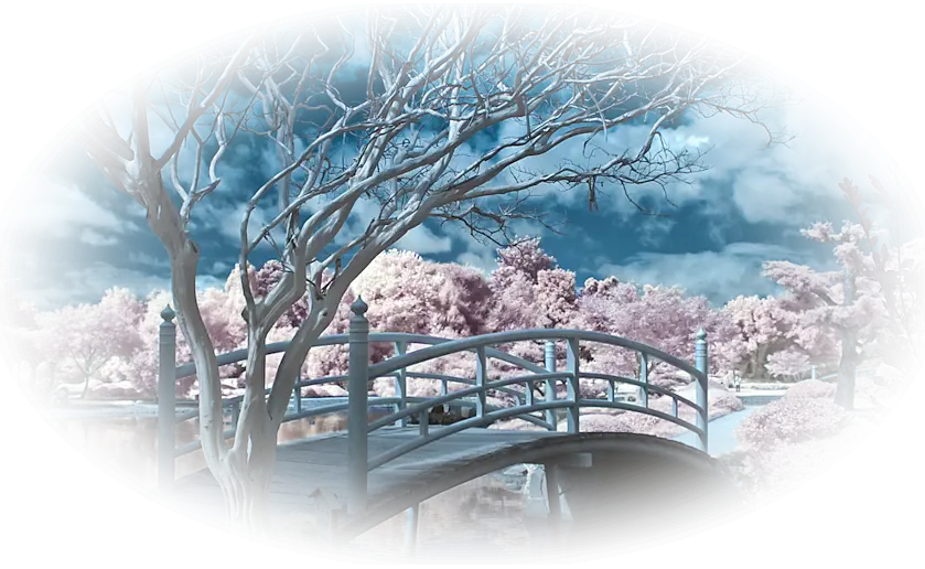 Snowy Bridge in Winter