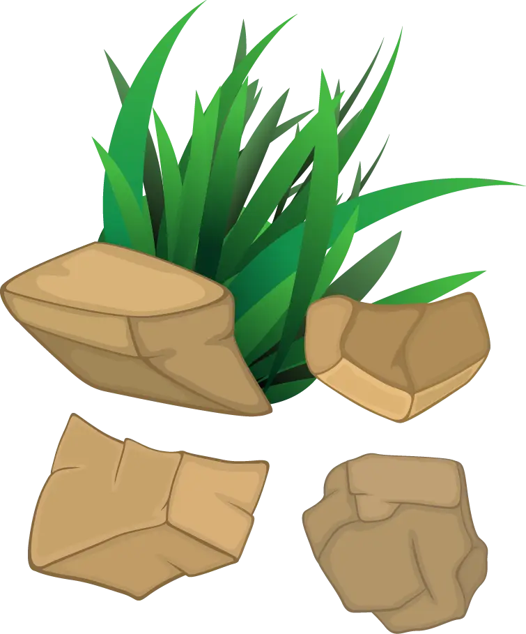 Rocks and Grass in Nature