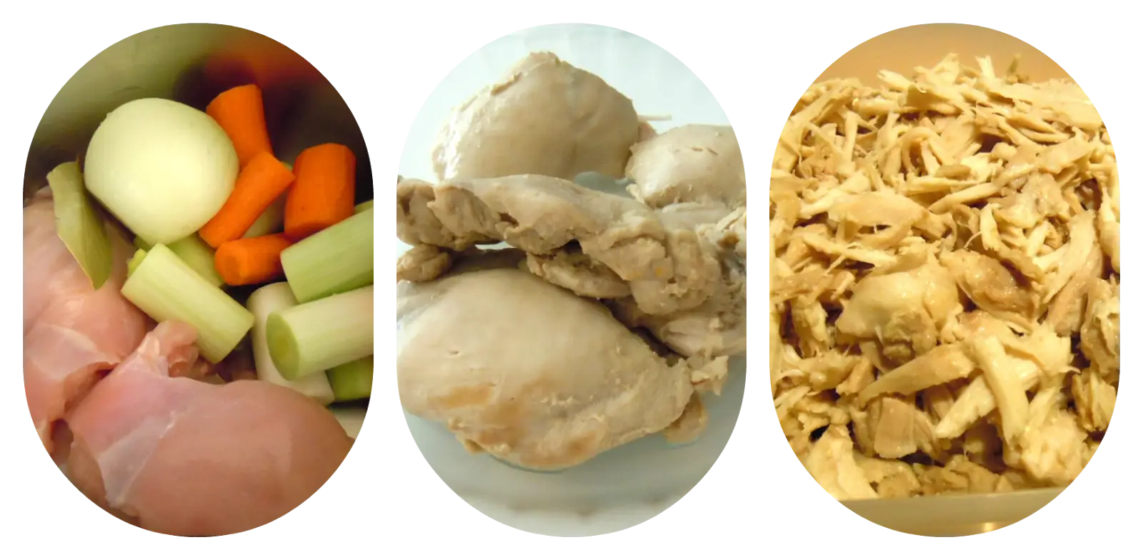 Cooked and Shredded Chicken