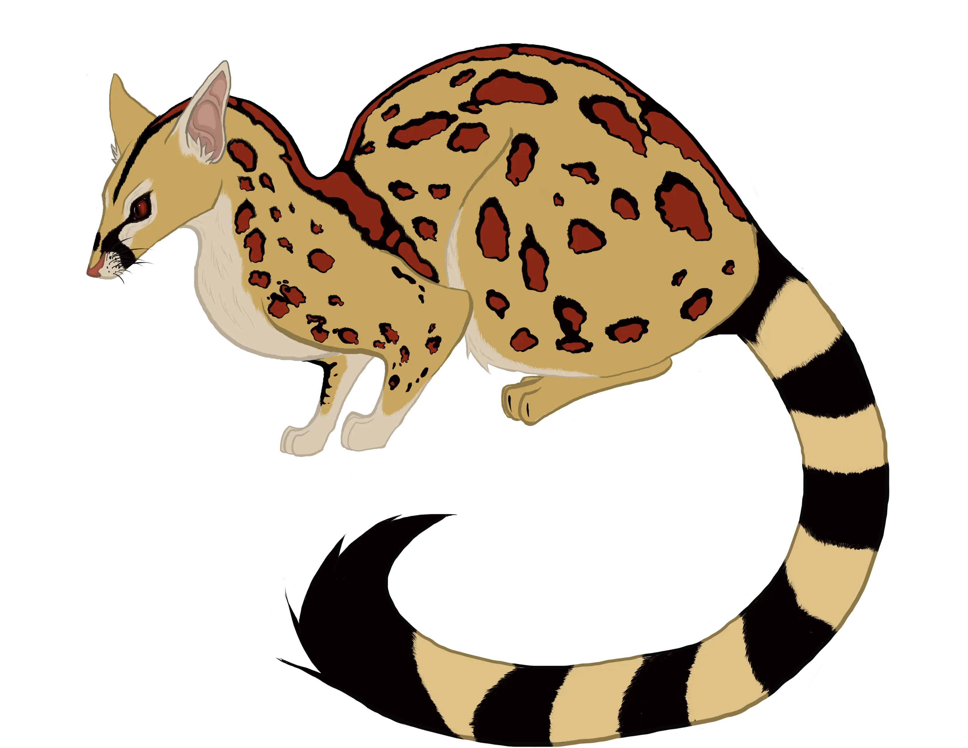 Spotted Animal with Long Tail