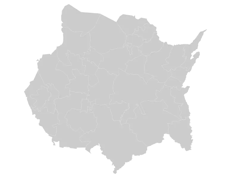 Gray Map Outline with Regional Divisions