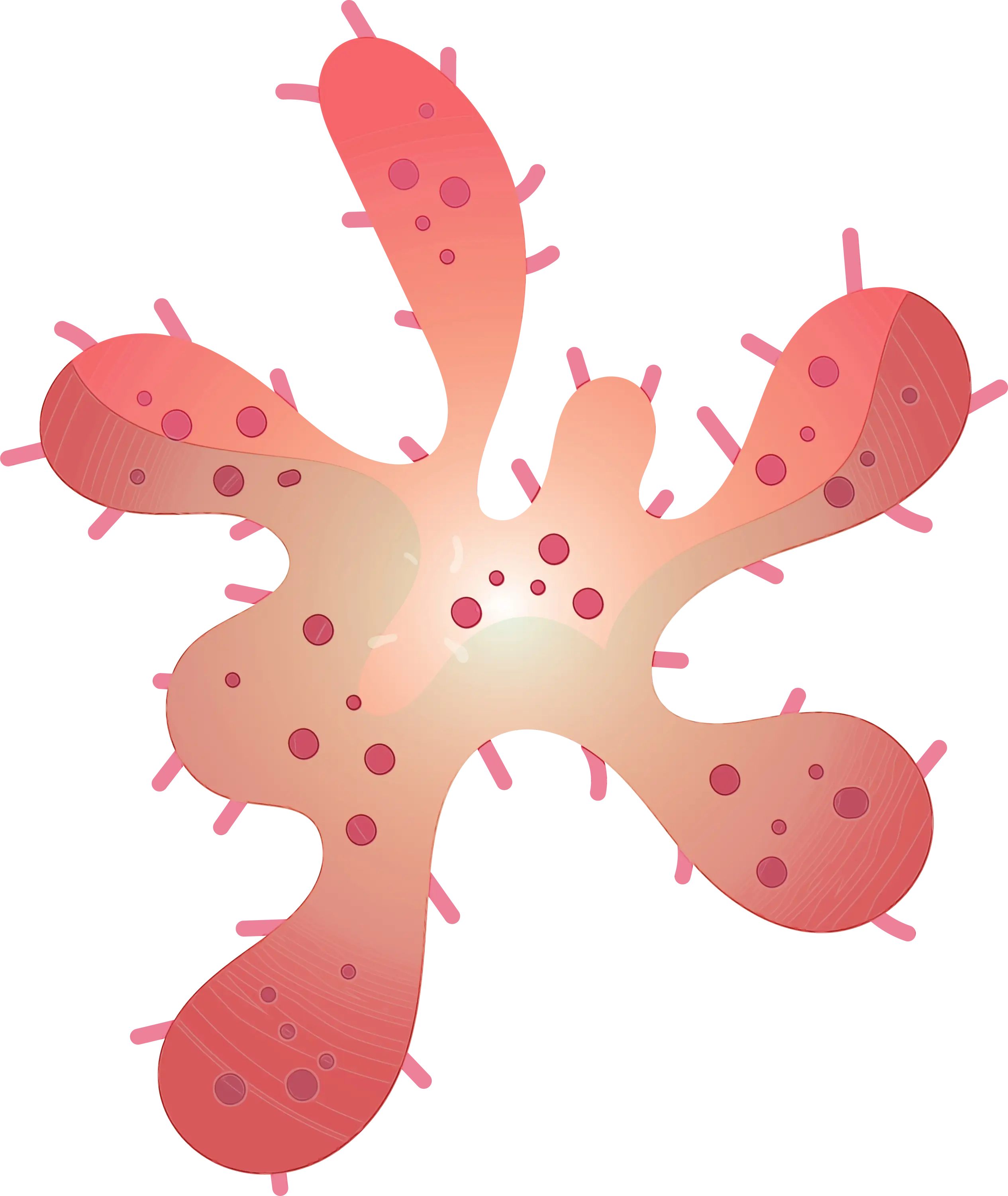 Pink-Salmon Colored Germ Illustration