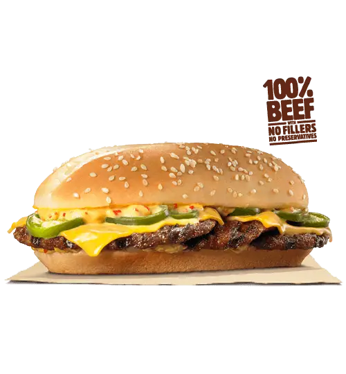 Delicious Cheeseburger with Pickles