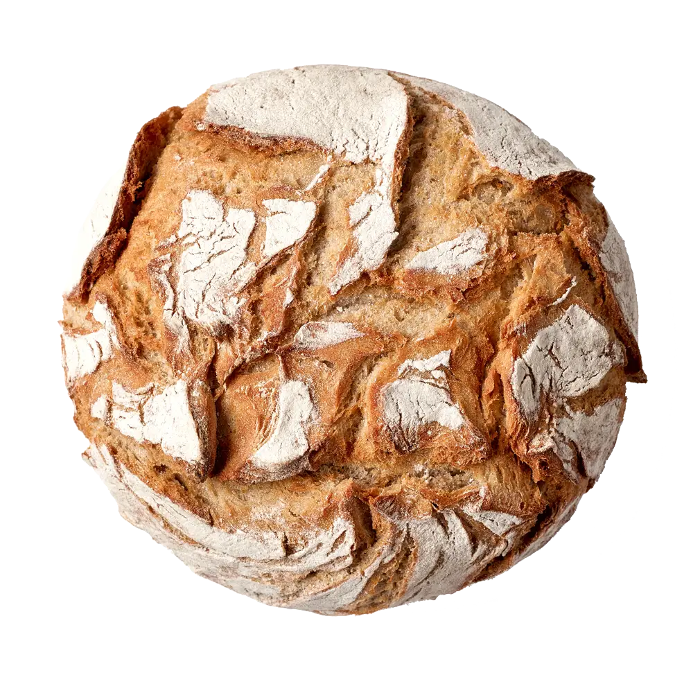 Crusty Round Bread Loaf