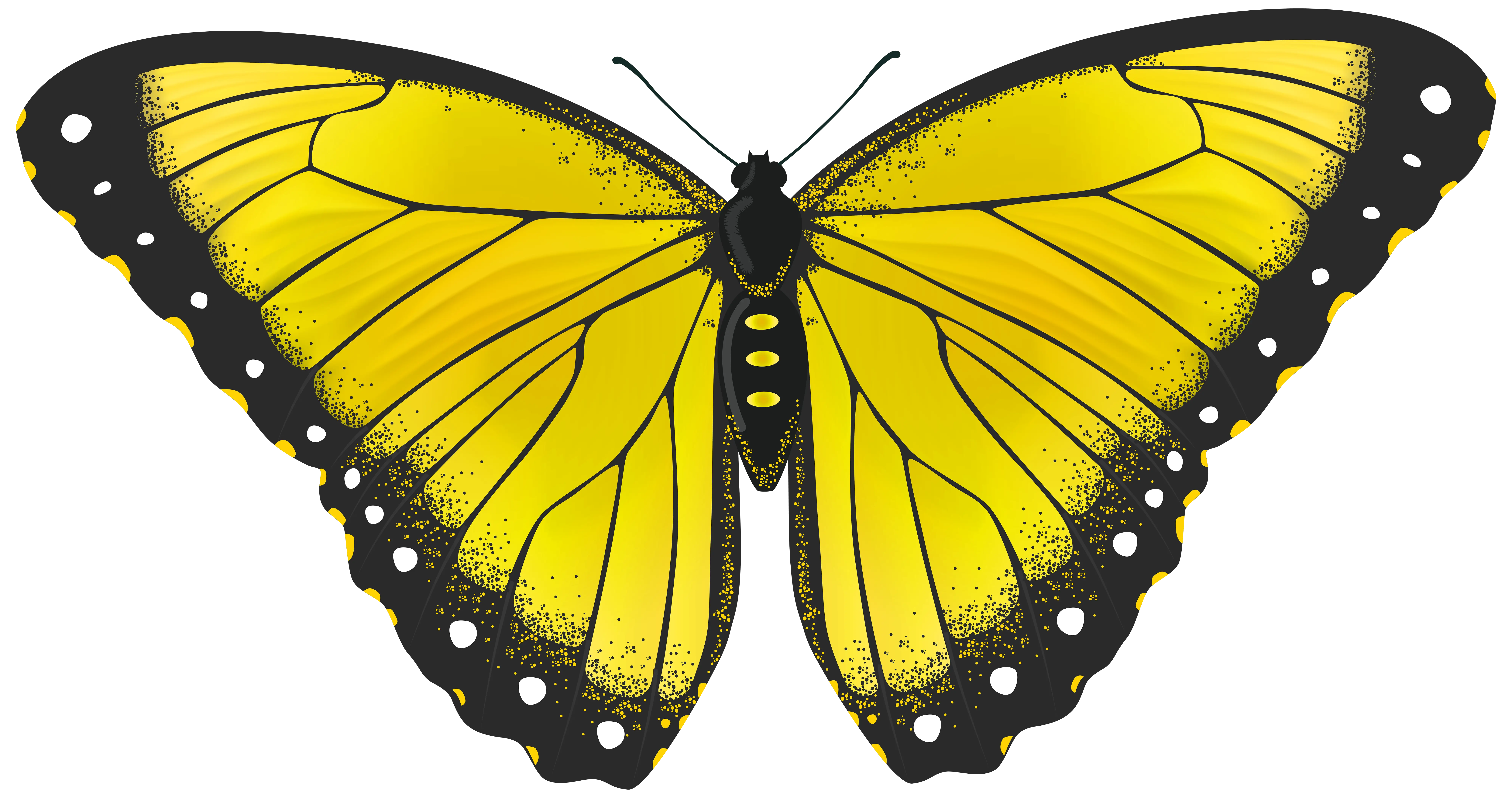 Beautiful Yellow Butterfly Illustration