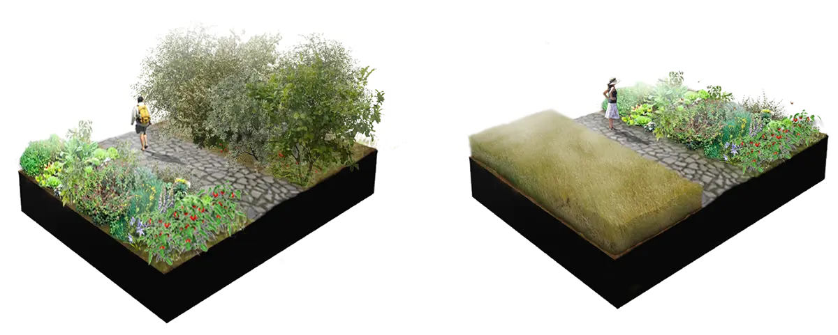 Detailed Garden Landscape Model