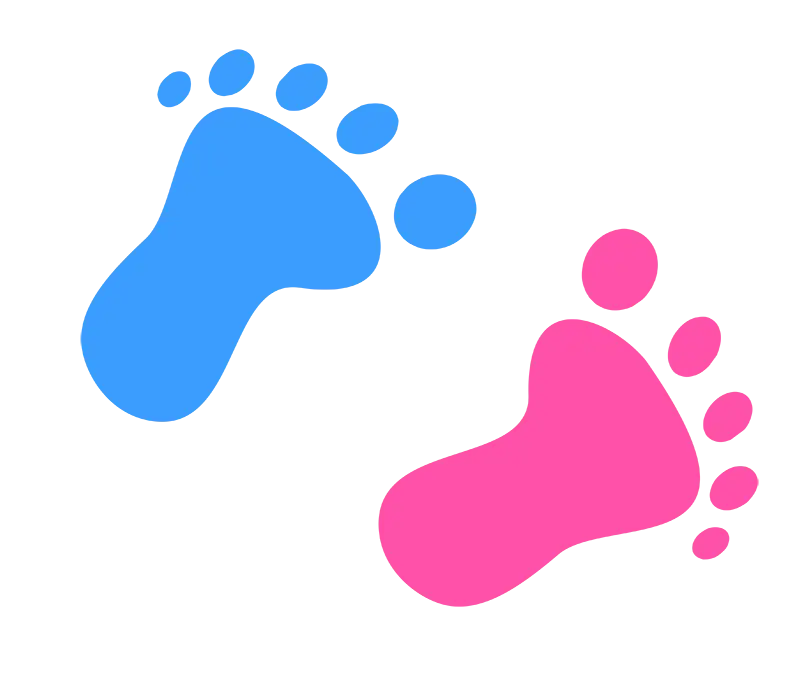 Blue and Pink Footprint Illustration