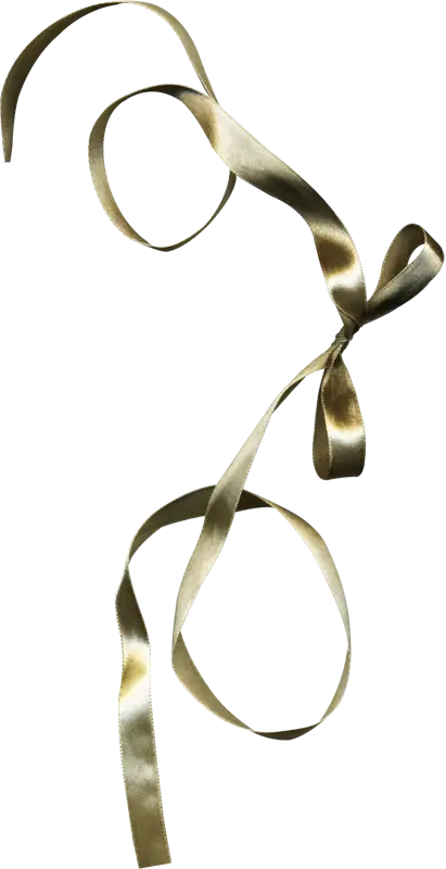 Gold Decorative Ribbon for Wrapping