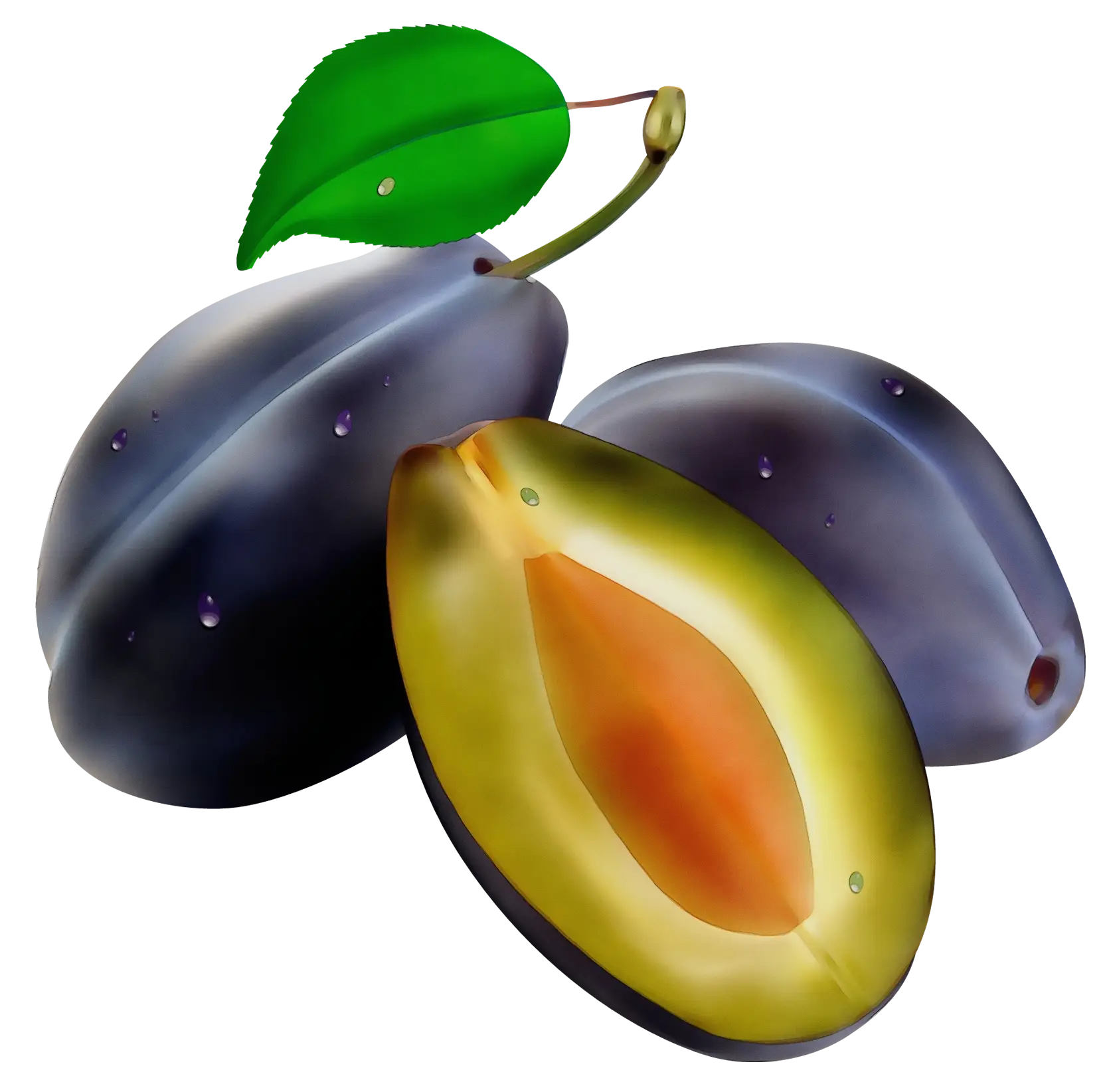 Realistic Purple Plums with Pit and Leaf