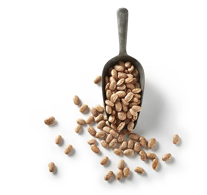 Scoop of Pinto Beans