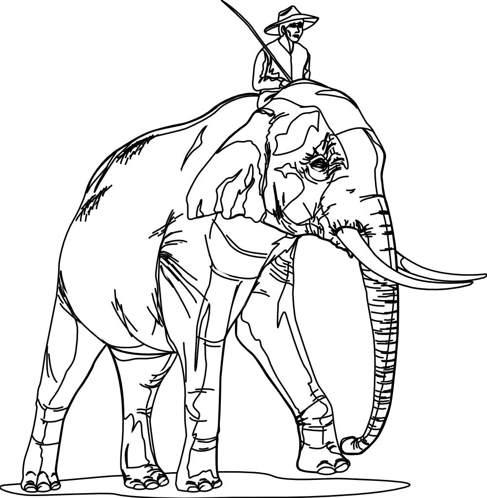 Elephant with Rider Outline