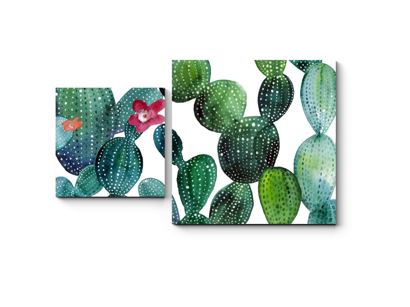 Watercolor Cactus Art