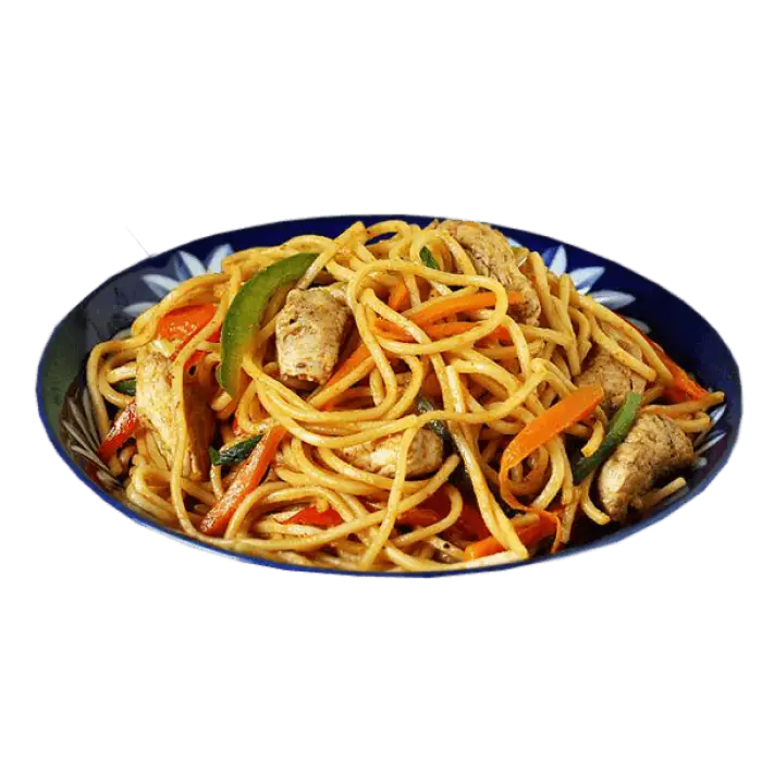 Chicken and Vegetable Noodles